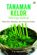 Tanaman Kelor (Moringa oleifera)